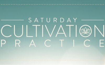 Saturday Cultivation Practice