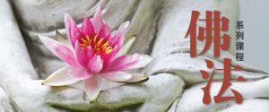 佛法系列课程