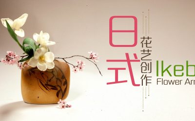 Ikebana Flower Arrangement 日式花艺创作