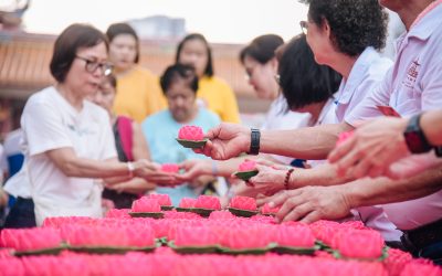 A Season of Gratitude: Vesak Grand Celebrations Conclude with Joy and Compassion 无尽感恩的季节：卫塞盛典 圆满落幕