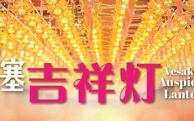卫塞 · 吉祥灯 Vesak Auspicious Lantern