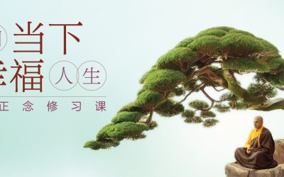 觉知当下 · 幸福人生 · 三日正念修习课