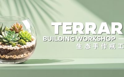 Terrarium Building Workshop 生态手作瓶工作坊