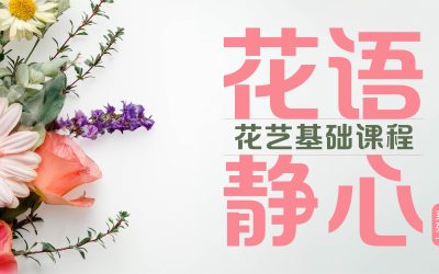 花语静心 · 花艺基础课程（系列一）