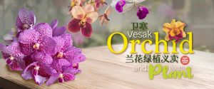 Vesak Orchid and Plant Booth 卫塞兰花绿植义卖