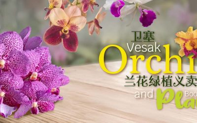 Vesak Orchid and Plant Booth 卫塞兰花绿植义卖