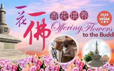 一花一佛 Offering Flowers to the Buddha