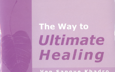 The Way to Ultimate Healing – Ven Sangye Khadra