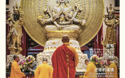 Awaken 普觉 Issue 65