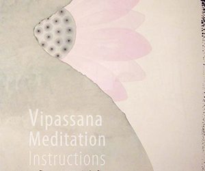 内观禅指南 Vipassana Meditation Instructions