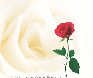 Rose for your Pocket 为你别上一朵红玫瑰