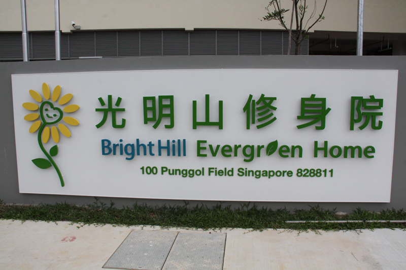 Bright Hill Evergreen Home