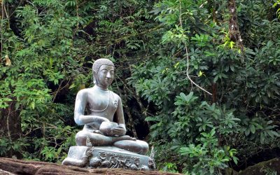 What is Buddha-nature?
